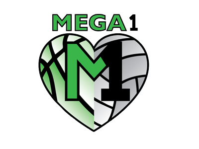 The official logo of Mega 1 Sports Academy