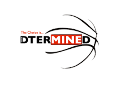 Organization logo for Team D'Termined