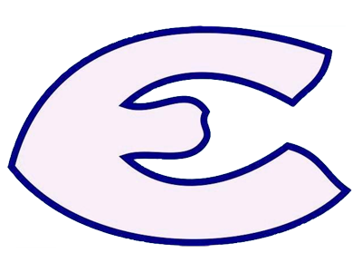 The official logo of Washington Evolution