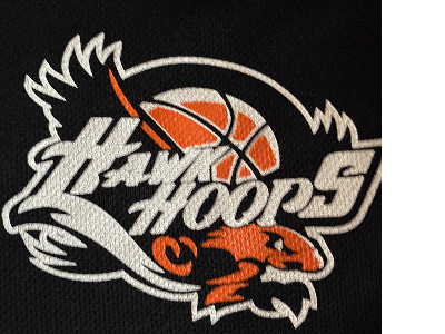 The official logo of AVAC Hawk Hoops 13u Gray