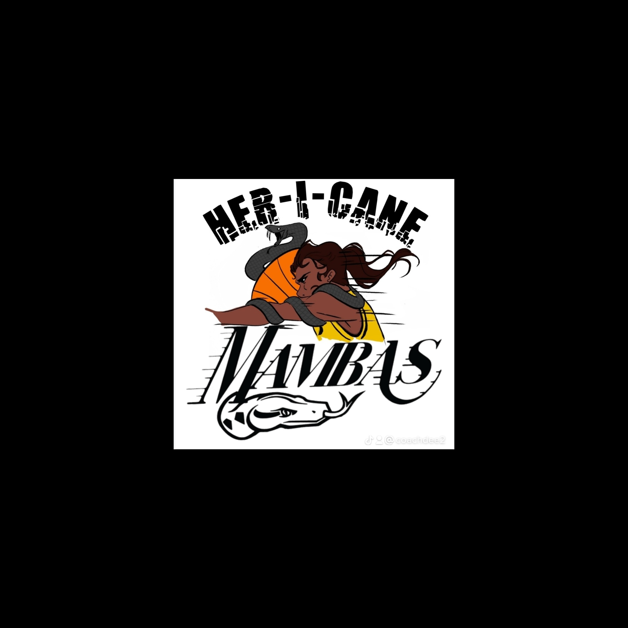 The official logo of Hericane Mambas