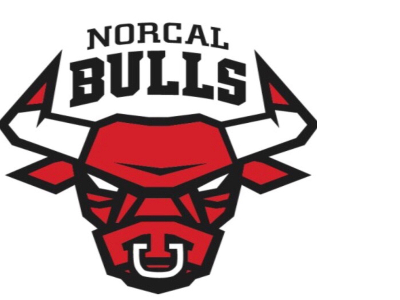 The official logo of NorCal Bulls