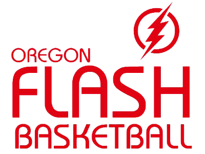 The official logo of Team Flash