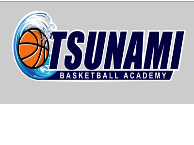 The official logo of Team Tsunami Basketball Academy