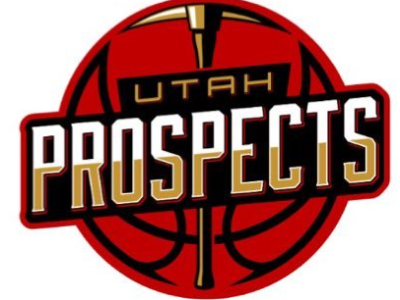 The official logo of Utah Prospects