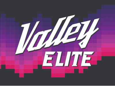 The official logo of VALLEY ELITE